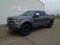2022 Ford F-250 Platinum