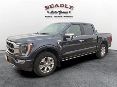 2022 Ford F-150 Platinum