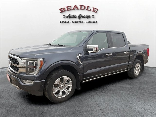 2022 Ford F-150 Platinum