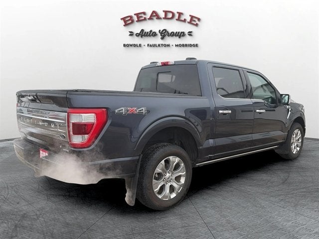 2022 Ford F-150 Platinum