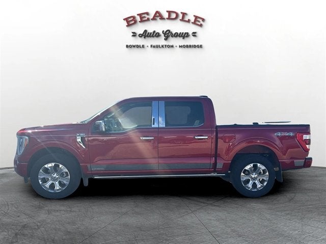 2023 Ford F-150 Platinum