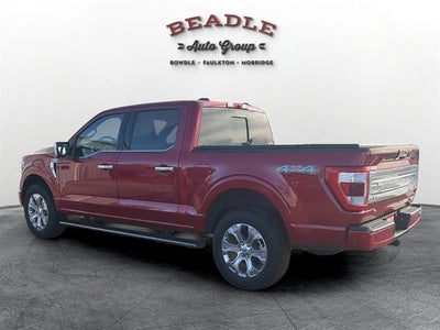 2023 Ford F-150 Platinum