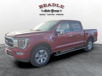 2023 Ford F-150 Platinum